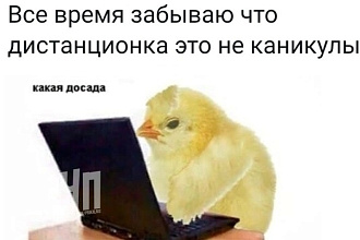 Ведение пабликов