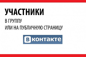Участники в группу ВК или на публичную страницу