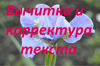 Вычитка и корректура текста