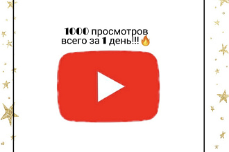 1000 просмотров всего за 1 день