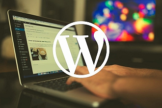 Разработка, создание сайтов на Cms WordPress и других CMS