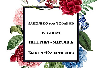 Заполню 100 товаров в интернет-магазин