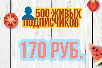 +500 живых подписчиков Instagram