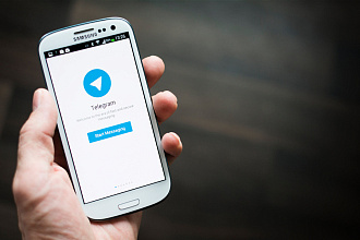 Чат бот в telegram