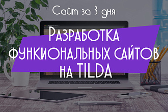 Разработка функциональных сайтов на TILDA. Подключение сервисов и CRM