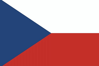 Качественно переведу на чешский язык