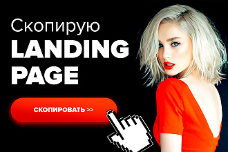 Скопирую Landing page за 1 день. Качественно. В срок