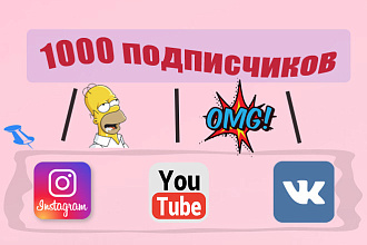 Продвижение аккаунтов в социальных сетях. 1000 подписчиков