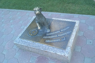 Дизайн визиток
