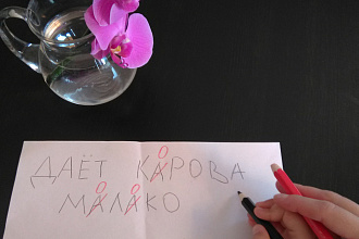 Корректура и литературное редактирование текста