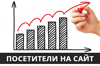 Поисковый трафик до 500 в сутки