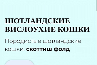 Лендинг