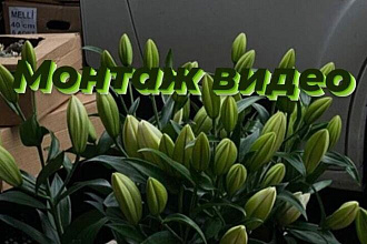 Монтаж видео