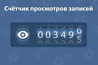Просмотры на запись VK