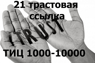 Поставлю ссылки с трастовых доноров ТИЦ от 1000 до 10000