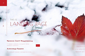 Дизайн Landing Page