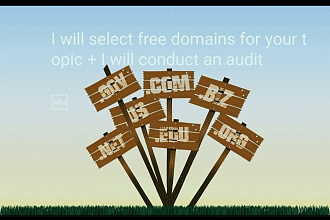 I will select free domains for your topic + I will conduct an audit