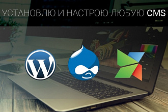 Установлю любую CMS на Ваш сайт