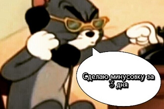 Сделаю минусовку на любой жанр,который пожелает заказчик